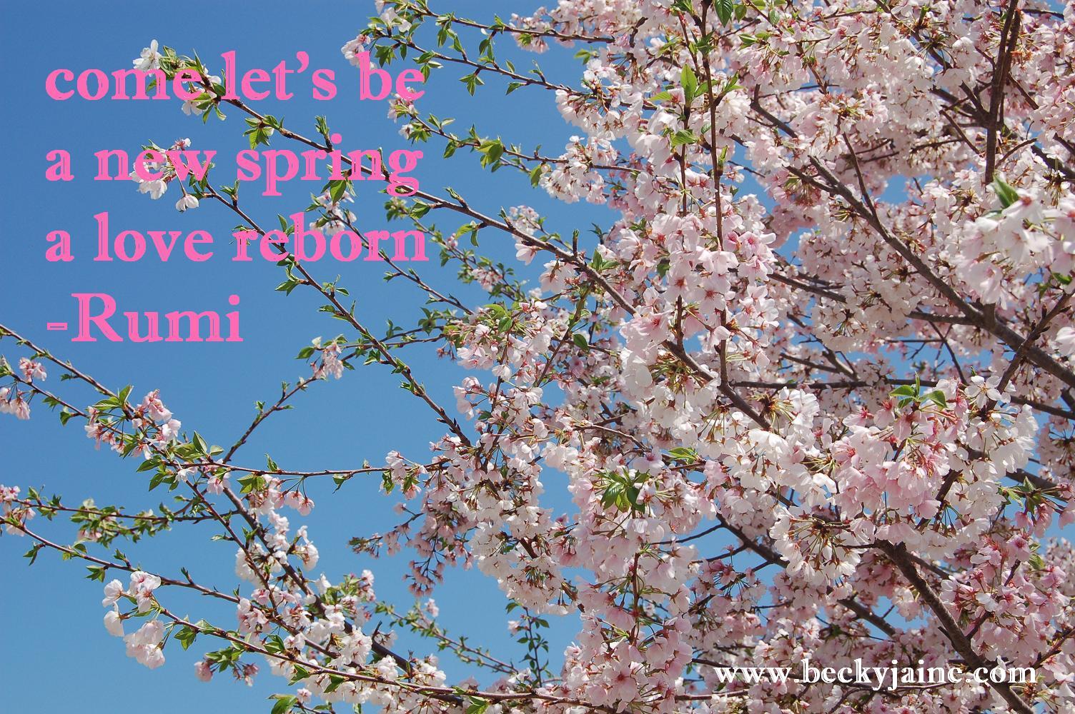 come let's be a new spring ~ Rumi – ɛïɜ let your SOUL shine ɛïɜ, image size:1504x1000