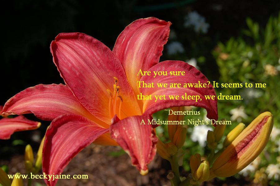 beckyjaine_summer_2013_demetrius