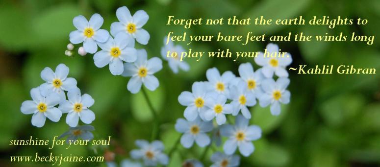 forgetnot_beckyjaine_2014