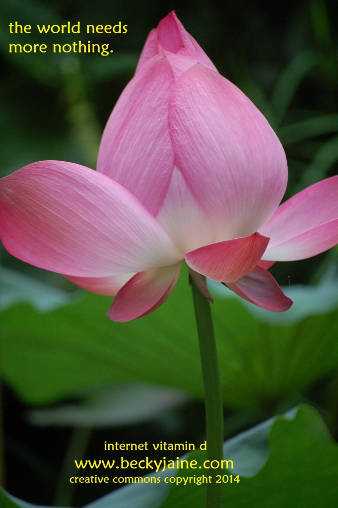 more nothing_ becky jaine 2014