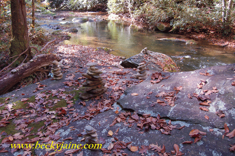 newstory beckyjaine 2014