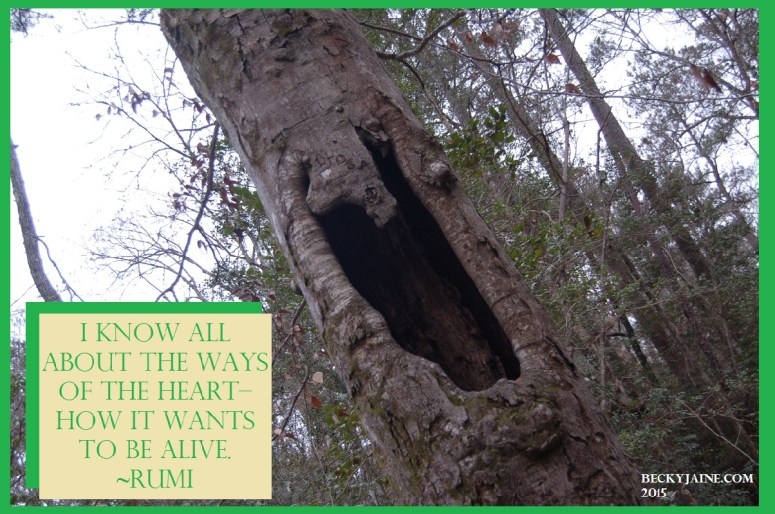 ways of the heart becky jaine 2015