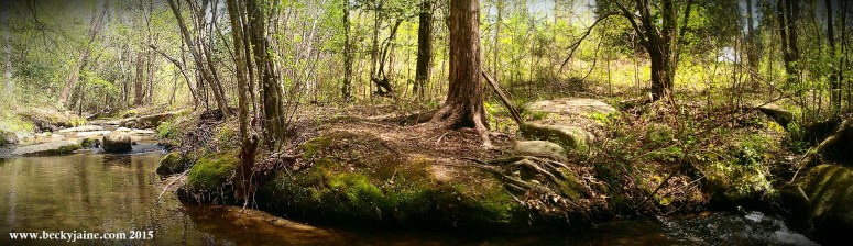 soul sunshine 2015 becky jaine