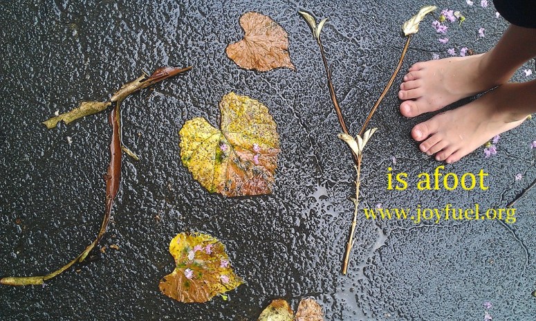 joy afoot joyfuel 2015