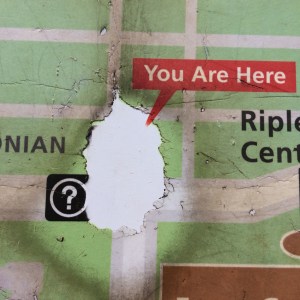 beckyjaine_washingtondc2016